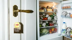 Zašto objesiti vrećicu čaja na vrata i staviti kuglice od novina u hladnjak: 10 trikova štedljivih ljudi