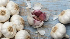 Ne bacajte ih: zašto se preporučuje dodavanje ljuski češnjaka u zemlju za biljke i čemu služe.