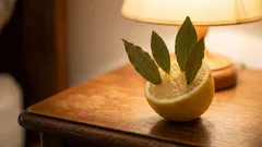 Stavite limun s lovorovim listovima u svoju sobu. Sljedećeg jutra zahvalit ćete sebi.