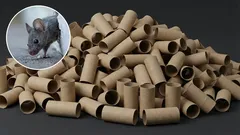 Kako se riješiti miševa u vašem domu pomoću držača za četku za WC školjku: učinkovita domaća zamka