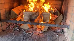 Koje vrste drva ne bi trebalo paliti kod kuće: te vrste neće pružiti toplinu