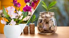 12 sretnih kućnih biljaka: koje cvijeće donosi sreću i prosperitet u vaš dom